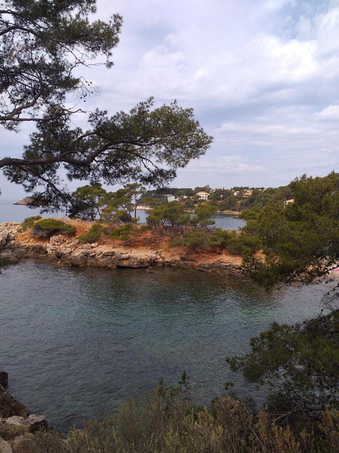 Joli studio res au calme en rez de jardin à Bandol. Exterior foto